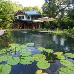 Gated Beachfront Community- Huge Natural Pool- TRIPLE Suites Birders delight!