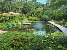 Gated Beachfront Community- Huge Natural Pool- TRIPLE Suites Birders delight! - Image 2