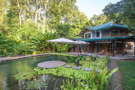 Gated Beachfront Community- Huge Natural Pool- TRIPLE Suites Birders delight! - Image 3