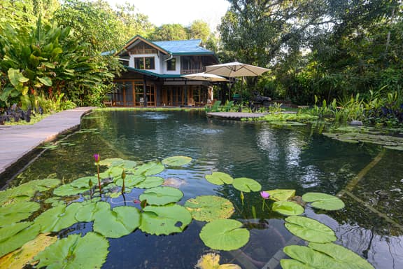 Gated Beachfront Community- Huge Natural Pool- TRIPLE Suites Birders delight! - Image 1